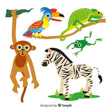 Download Hand Drawn Tropical Animal Collection For Free Tropical Animals How To Draw Hands Vector Free