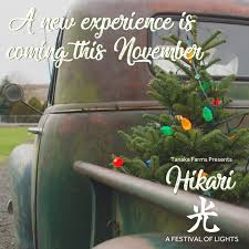 Bis zu 90 % sparen! Tanaka Farms In Irvine Presents Hikari A Festival Of Lights Cleverly Catheryn