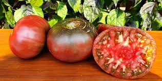 You see the large round fruit of red pride is ideal for slicing on the sandwiches or fresh eating, be strong and vigorous plants. Black And Blue Tomatoes Pierce S Pride Tomato
