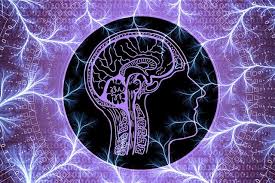 Neuroscience, psychopharmacology and evolutionary psychology are disciplines closely associated with biopsychology. Everything You Need To Know About Biopsychologist 2021
