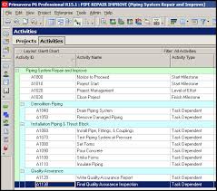 Inserting An Activity In A Primavera P6 Schedule