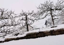 Warum weiß der schnee eigentlich, wann es zeit ist, zu schneien. Schneefall Im St Wendeler Land St Wendeler Land Nachrichten