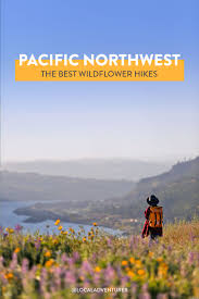 Maybe you would like to learn more about one of these? Best Hikes To See Pacific Northwest Wildflowers Oregon And Washington