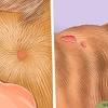 Pets will always shed, and as long as they live indoors, you, the pet parent will always need a way to reduce pet hair. 1