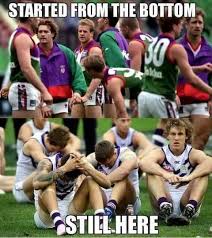 Fremantle Dockers Still At The Bottom Fremantle Dockers Afl Football Funny