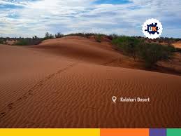 Image result for Kalaharia uncinata