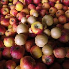 Boule Fruit Bowl Hidden In A Box Of Thousand Apples