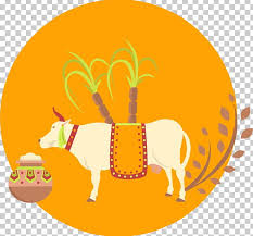 Wann ist thai pongal (hinduist. Thai Pongal Cattle Mattu Pongal Festival Png Clipart Circle Cultural Culture Culture Vector Download Free Png