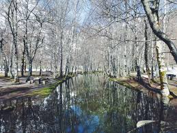 Free shipping for many products! 5 Best Things To Do In Serra Da Estrela With Portugal Premium Tours