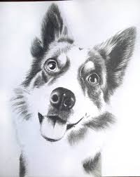 Cute cat and dog design by @vaneltia_design follow #logoprofessionals for more. Draw Realistic Pencil Portrait Of Your Cat Dog Or Any Pet By Moncefart Fiverr