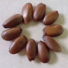 Selain itu hama durian yang lainnya adalah hewan bertulang belakang misalnya tikus dan bajing. 10 Pcs Benih Durian Belanda Soursop Seeds Shopee Malaysia