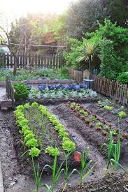 56 Vegetable Garden Design Ideas For Beginner Vegetablegarden Gardendesign Gardenideas Aacmm Com Garten Garten Anpflanzen Garten Design