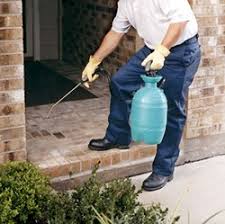 We offer sustainable, chemical solutions for the professional pest control industry. Do You Have To Spray Chemicals Inside My Home Hitman Pest Control