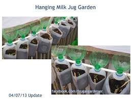 I Like This Concept But I Would Adapt To Use As A Drip Irrigation Keep Milk Jug Intact And Bury Except For The Milk Jugs Garden Milk Jug Pinterest Garden