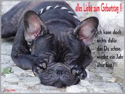 Gluckwunsche zum geburtstag lustig gif image results. Dreamies De E30xkm454iu Gif