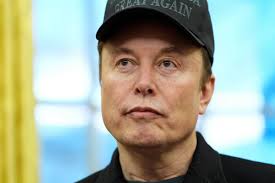 Has Elon Musk violated his Oath of Citizenship ?