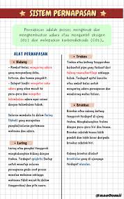 Check spelling or type a new query. Naomi On Twitter Biologi ð'ð¢ð¬ð­ðžð¦ ððžð«ð§ðšð©ðšð¬ðšð§ Materi Kelas 11 Hai Apa Kabar Aku Buat Catatan Biologi Baru Nih Mohon Kritik Saran Dan Koreksinya Kalau Ada Yang Salah Ya Terima Kasih Semoga