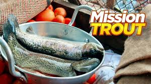 Most Expensive Trout Fish In Pakistan Rs 2500 Kg Live Cooking At Waterfall Pakistan Street Food Youtube