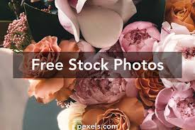 Dreamstime is the world`s largest stock photography community. 70 000 Best Birthday Flowers Photos 100 Free Download Pexels Stock Photos