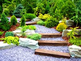 Zen Garden Designs