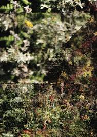 Current Exhibitions in SUB Galleries