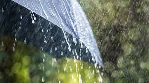 Accurate halifax weather today, forecast for sun, rain, wind and temperature. Halifax Breaks Record For Lack Of Snow The Weather Channel Articles From The Weather Channel Weather Com