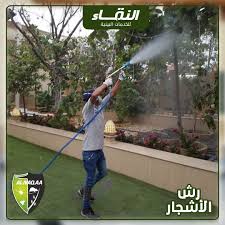 مكافحة الرمة في راس الخيمة شركة رش مبيدات النقاء لمكافحة الحشرات 0509399881 In 2020 Decor