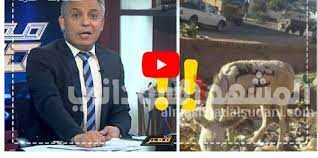 أسعار الذهب في مصر اليوم الجمعة وعيار 21 يسجل 806 جنيهات للجرام. Ù‚Ù†Ø§Ø© Ø§Ù„Ø´Ø±Ù‚ Ù…Ø¹ØªØ² Ù…Ø·Ø± Ø¨Ø« Ù…Ø¨Ø§Ø´Ø± Ø§Ù„ÙŠÙˆÙ…