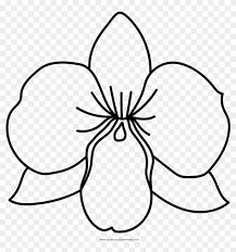 Orchids are one of the world's most recognizable plants with their beautiful exotic flowers. Picture Orchid Colouring Pages With Coloring Page Ultra Dibujo De Orquidea Para Colorear Free Transparent Png Clipart Images Download