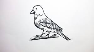Sketsa gambar pemandangan alam gambar pemandangan yang mudah lukisan pemandangan alam yang mudah contoh gambar pemand. Cara Menggambar Burung Lovebird Dengan Mudah By Adi Tri