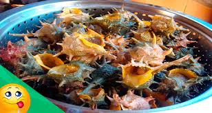 Luego de comprar los caracoles, debes hacerlos ayunar alrededor de 10 días. Como Cocer Canaillas Tiempo De Coccion