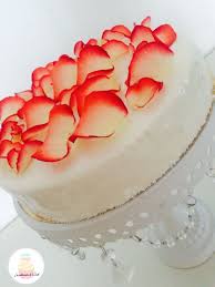 Entremet Fruit Rouge Glacage Miroire Entremet Fruits Rouges Patisserie Entremet