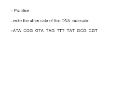From dna to protein identifying dna as the genetic material objectives: Chapter 8 From Dna To Proteins Dna Is