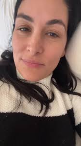 Brie Breaks Up with Daniel Bryan