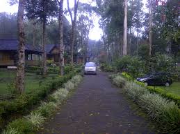 Hasil gambar untuk foto wisata bandung selatan ciwidey