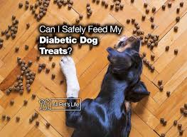 Seeking a diabetic dog food? Can I Safely Feed My Diabetic Dog Treats 2021 Reviews All Pet S Life