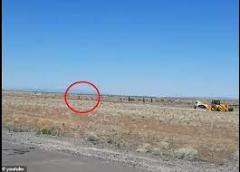 Daredevil alex harvill died thursday while practicing for a world record motorcycle ramp jump, officials in washington state said. T2hijsduheq9ym