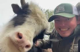 Giraffe enrichment, lemur snack time, and a watsui traffic jam!😂 Our first  #NationalZookeeperWeek spotlight catches up with Jack, Amanda, Nick and  Ryan and some of their favorite moments from animal care during