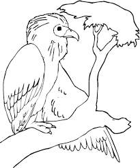 Vulture attacks from the sky coloring page. Buzzard Coloring Page Free Coloring Library
