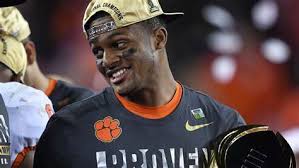 Deshaun Watson Bio Stats & Fantasy Ranking