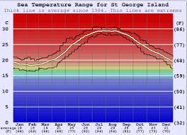 St George Island Water Temperature Sea And Wetsuit Guide