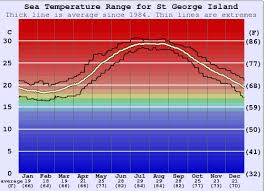 st george island water temperature sea and wetsuit guide