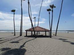 Check spelling or type a new query. Beach Bonfire Guide For San Diego County California Beaches