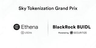 블라인드 | 암호화폐: ENA 코인을 주목 해보자. - Blind