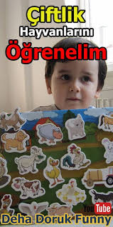 Cocugumuza Ciftlik Hayvanlarini Ogretelim Ciftlik Hayvanlari Hayvan Kartlar