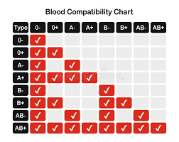 Blood Groups Stock Illustrations 246 Blood Groups Stock