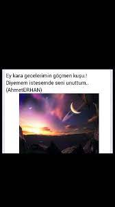 ey kara gecelerimin gocmen kusu diyemem istesemde seni unuttum ahmet erhan gece siir resimler
