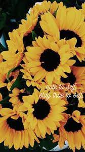 Bryson Tiller Lyrics Sunflower Wallpaper Flower Wallpaper Cute Wallpapers