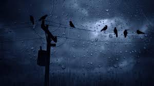 description rainwallpaper is a powerful live wallpaper engine that allows you to use various types of customizable animated wallpapers on your windows desktop, including 3d and 2d animations. Rain Wallpapers Top Free Rain Backgrounds Wallpaperaccess