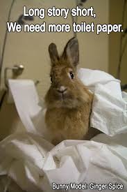 Https Www Facebook Com Sdhrs Photos A 236349213050064 65850 234763846541934 1000148063336838 Type 1 Theater Funny Rabbit Funny Bunnies Bunny Meme